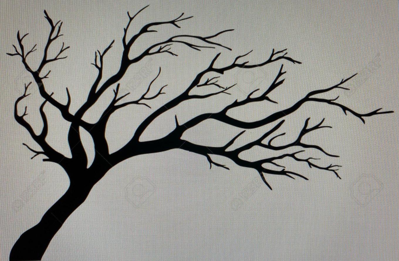 tekening boom