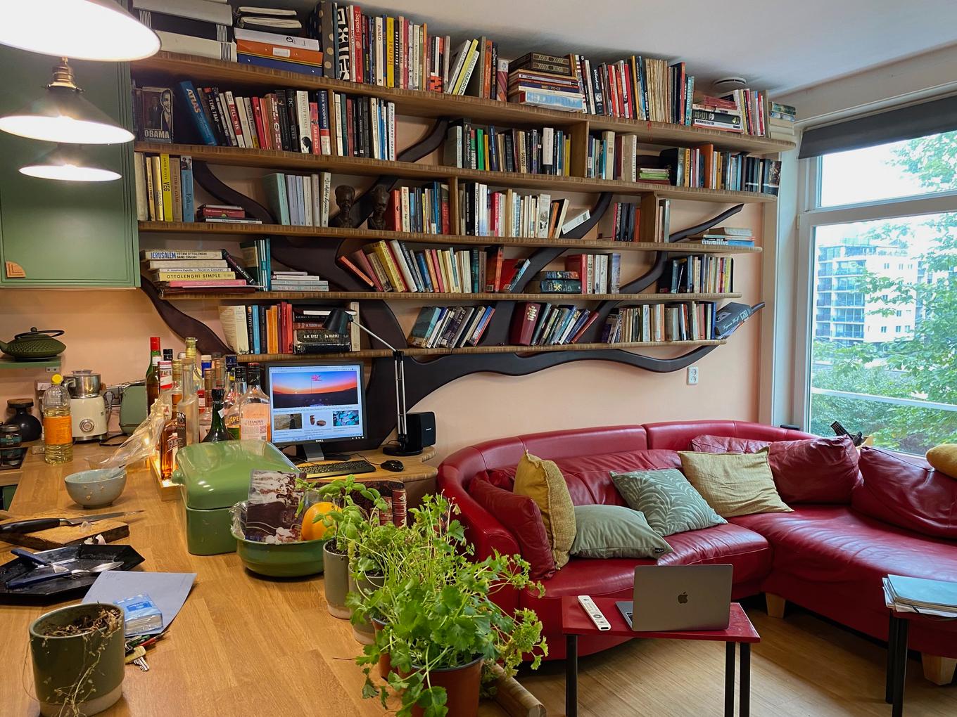 boomkast met boeken6
